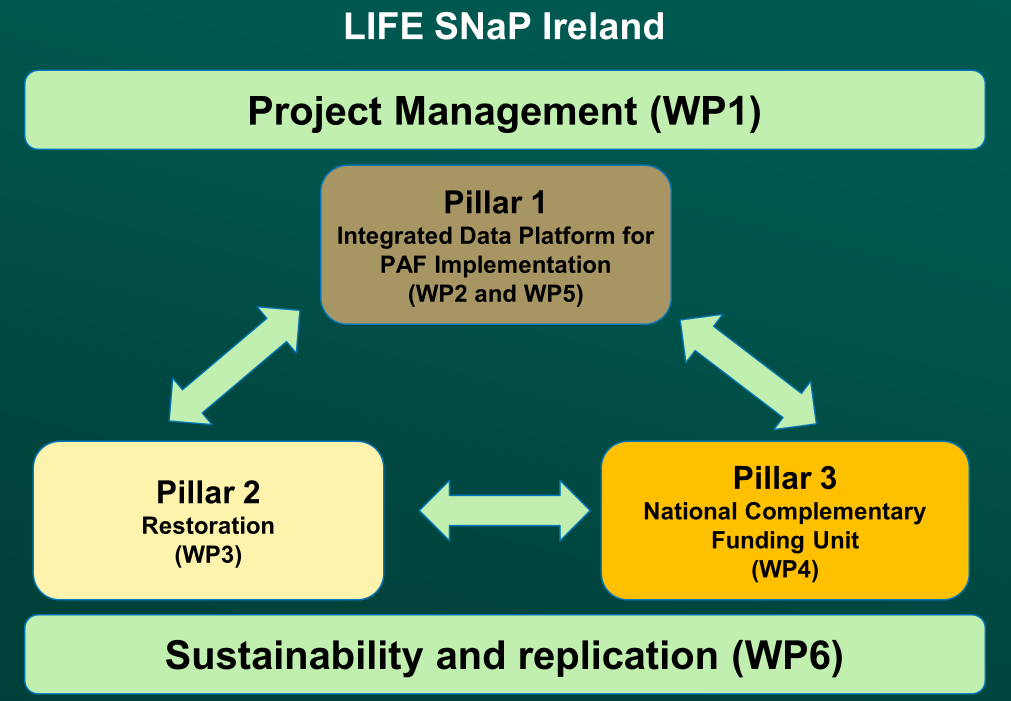 A diagram outlining the structure of the life snap project